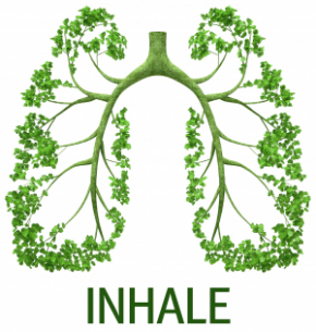 "Inhale logo"