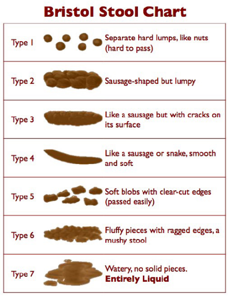 Bristol stool chart