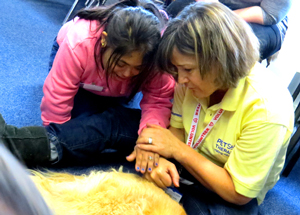 Transition patient with Pets as Therapy volunteer